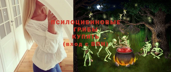 МДМА Богданович