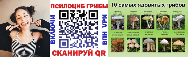 блэк спрут сайт  Гулькевичи  Галлюциногенные грибы GOLDEN TEACHER 