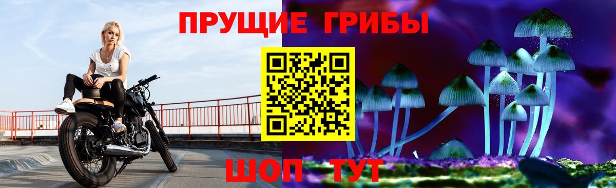 Псилоцибиновые грибы Psilocybine cubensis Гулькевичи
